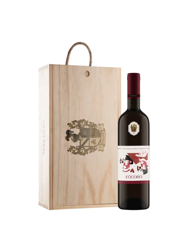 Caja (6) Focoro 2024